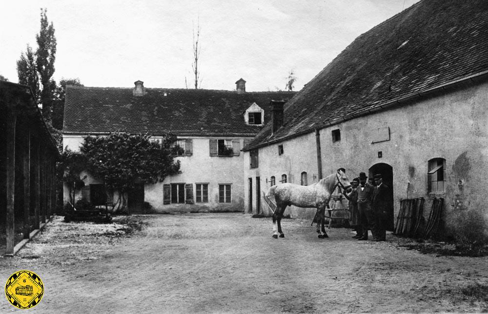 Pferde für die Tram im Löwenhof 1896