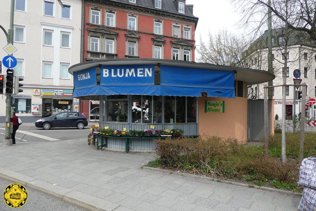 Lediglich der Blumenhändler im alten Warte- und Betriebshäuschen (Bild links vom 9.9.1959) erinnert noch an die alte Funktion des Baldeplatzes sowohl als Kehrschleife als auch Kreuzungspunkt der Trambahnlinien ost/west vom Hauptbahnhof nach Giesing und nord/süd über die Auenstrasse zum Isartalbahnhof.