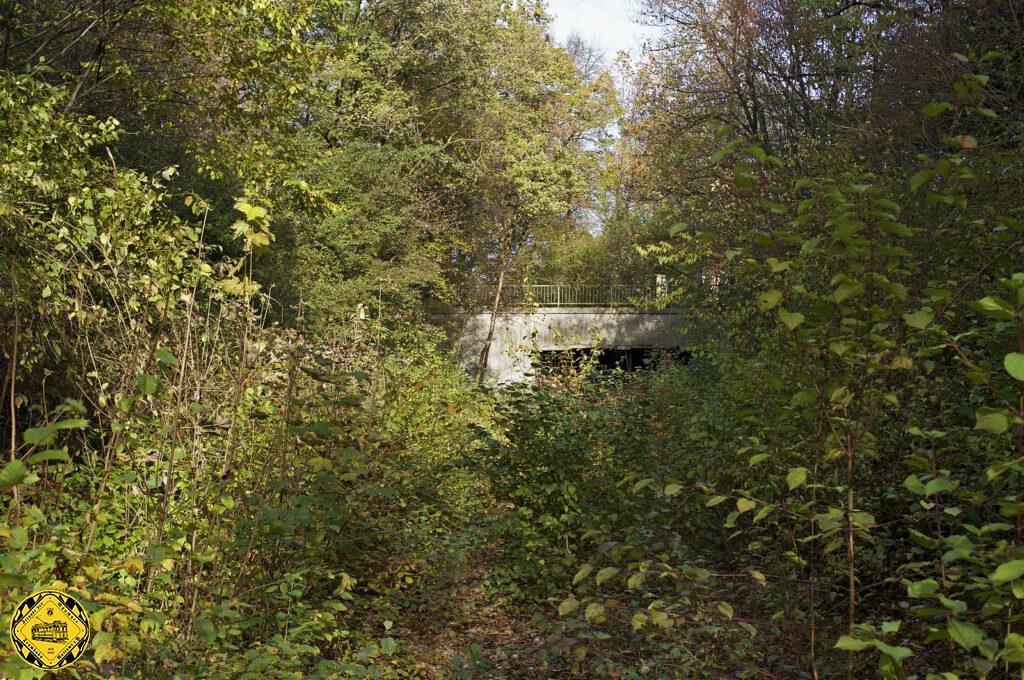 Irgendwann holt sich die Natur alles wieder zurück: der südliche Tunnelausgang über die Jahrzehnte: noch im Bau, gerade in Betrieb und 2021 fast nicht mehr zu finden.