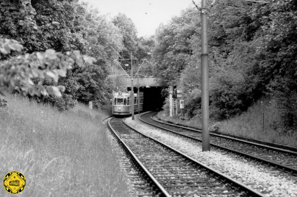 Irgendwann holt sich die Natur alles wieder zurück: der südliche Tunnelausgang über die Jahrzehnte: noch im Bau, gerade in Betrieb und 2021 fast nicht mehr zu finden.