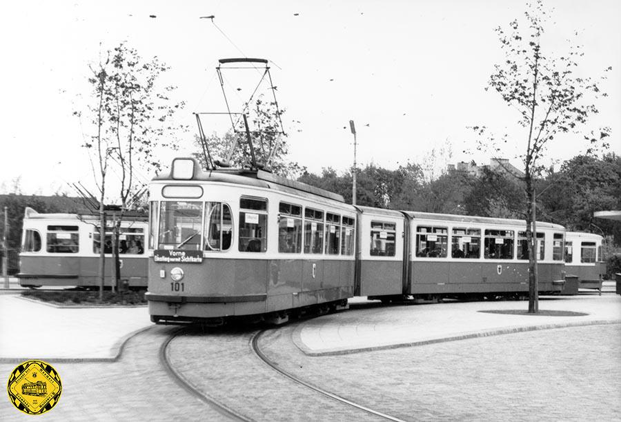 Der Tatzelwurm P1-Tw 101 unterwegs auf der Linie 3 an der Endhaltestelle Scheidplatz10.5.1962