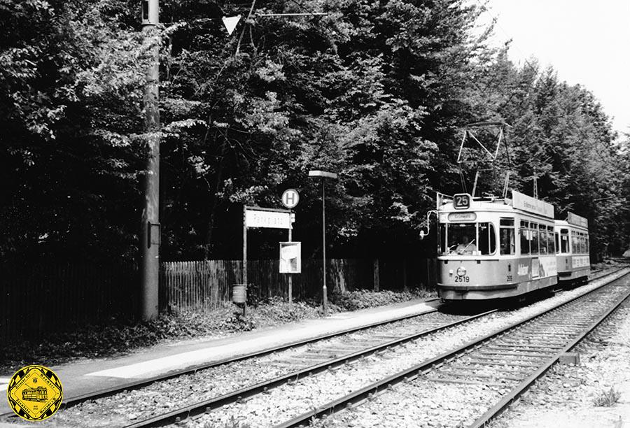 Die Linie 25 mit dem M5-Tw 2519 + m5-Bw 3519 an der Haltestelle Parkplatz auswärts am 18.5.1992