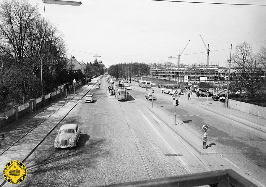 Am 5.April 1961 wendete die Linie 3 noch an der Schleife am Neuen Botanischen Garten. Die weitere Menzingerstraße ist noch nicht ausgebaut. 